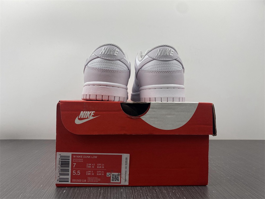 NIKE DUNK LOW  DD1503-116